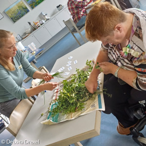 Ein Tisch auf dem etliche Kräuter auf Zeitung liegen. links am Tisch steht eine Frau und sortiert die Kräuter. Rechts sitzt eine Frau im Rollstuhl und sortiert die Kräuter. Im Hintergrund links steht ein Servierwagen voller Kochzutaten.